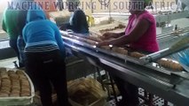 SLUG PACK MACHINE ON-LINE FOR PACKING BISCUITS STANDING ON-EDGE, MACHINE WORKING IN SOUTH AFRICA