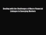 [PDF] Dealing with the Challenges of Macro Financial Linkages in Emerging Markets Read Online