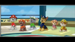 Paw Patrol English video game for Children - 2016