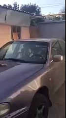 Cat sleeping on car just like human