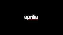 Aprilia Racing Team MotoGP 2016: carbon fiber vs. aluminum frames