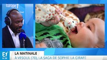 Vosges : Sophie la girafe, le jouet culte dont les ventes explosent à l’international