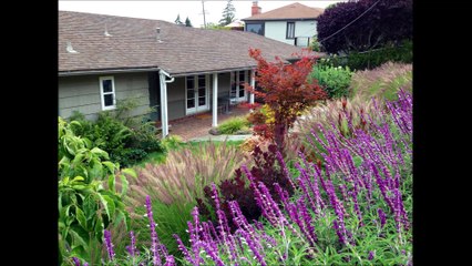 Large Courtyard With Grass And Bushes