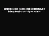 Read Data Crush: How the Information Tidal Wave is Driving New Business Opportunities Ebook