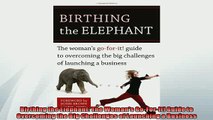 EBOOK ONLINE  Birthing the Elephant The Womans GoForIt Guide to Overcoming the Big Challenges of  DOWNLOAD ONLINE