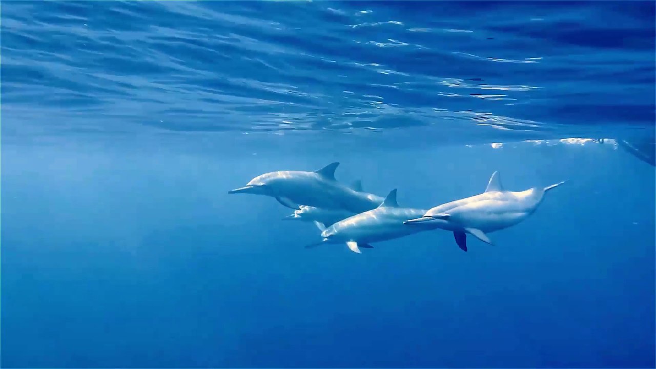 Christmas Island - Christmas Island, and the Cocos Keeling Islands