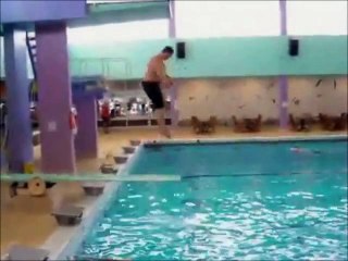 Fat People Stupid Funny Vedio