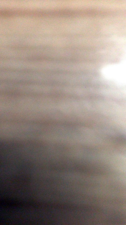 gggg