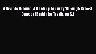 Read A Visible Wound: A Healing Journey Through Breast Cancer (Buddhist Tradition S.) PDF Online