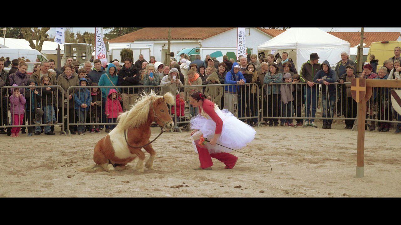 Equiendo spectacle equestre "la légende de cyrielle"