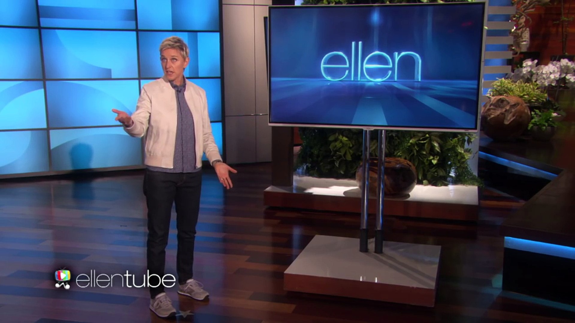 casita de calicó critters