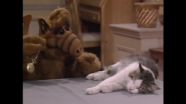 Extrait de la série Alf