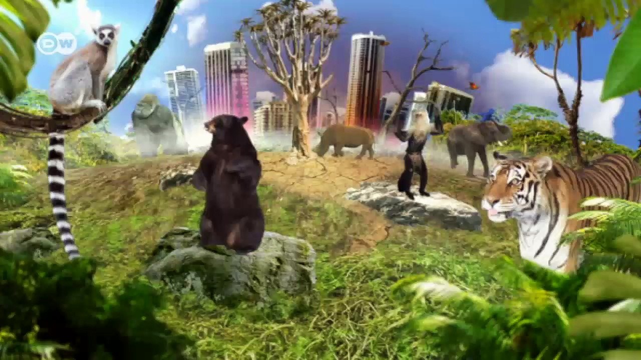 Peru - Schutz des Andenbärs | Global 3000