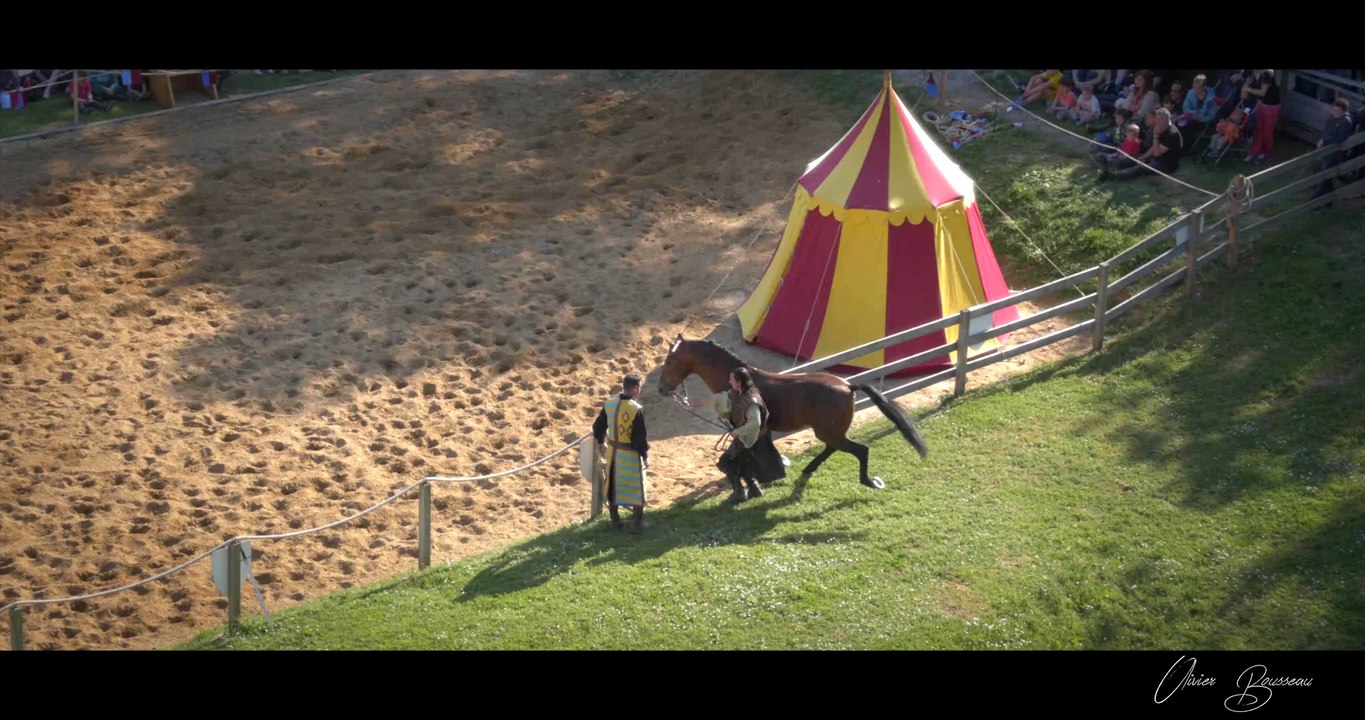Equiendo spectacle équestre" cascades, liberté"