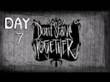 Dont Starve Together | Day 7 