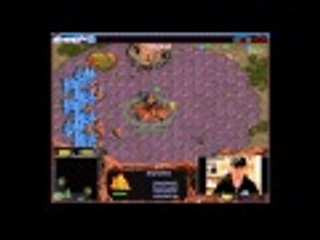 Connor5620: 스타크래프트 Starcraft Brood War [FPVOD YellOw 홍진호] (Z) vs dustmq890 (T) Fighting Spirit 투혼