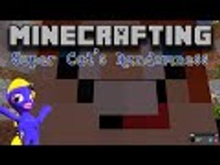 Minecrafting | Super Cat's Random Moments