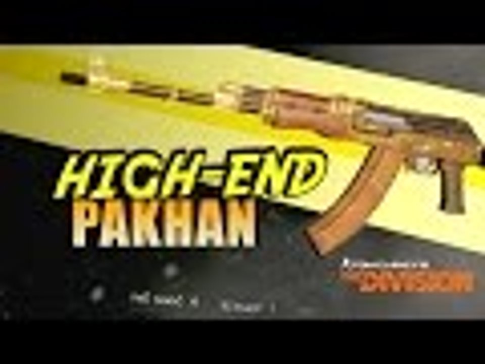 The Division | PAKHAN High-End LMG Weapon recommendation (Best Weapons in The Division)