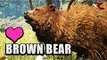 Far Cry Primal | Brown Bear Taming (How to tame a Brown Bear)