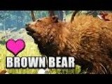 Far Cry Primal | Brown Bear Taming (How to tame a Brown Bear)