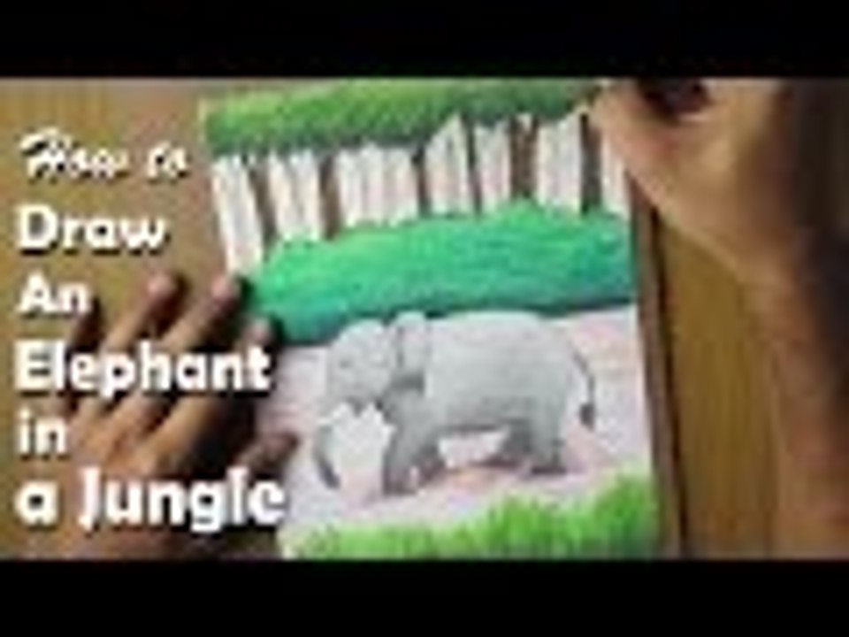 Beginners Drawing Lessons | How to Draw an Elephant in a jungle