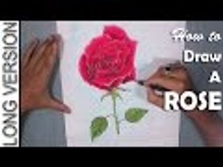 Rose Drawing | How to Draw a Red Rose with Oil Pastel