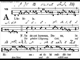 Alleluia Te decet, Dominica XV TpA (15è TO)