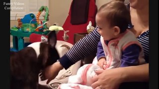 Funny Baby Videos Funny Videos Compilation CUTEST KIDS IN THE WORLD - YouTube