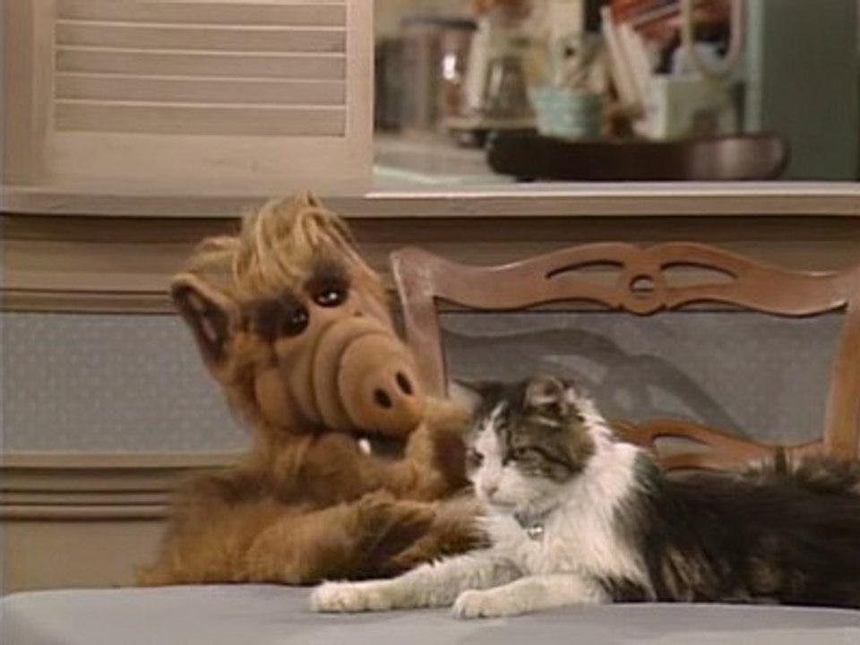 Série TV ALF - Alf Hypnotise le chat (Extrait)
