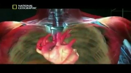 Ecco gli effetti collaterali degli steroidi... ASSURDO!