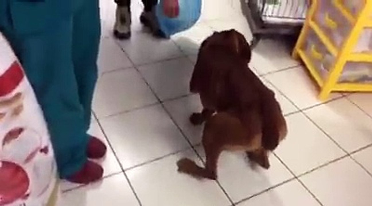 Trovano un cane chiuso in sacco poi scoprono qualcosa di terribile!