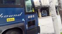 GREYHOUND AND COACH CANADA BUSES AT THE STATION