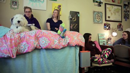 DormVault is the only safe designed for college dorms.