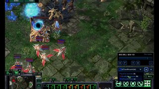 HOTS 6 phoenix vs 22 muta