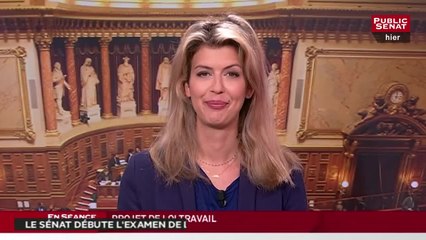 Loi travail Article 1 - Les matins du Sénat (14/06/2016)