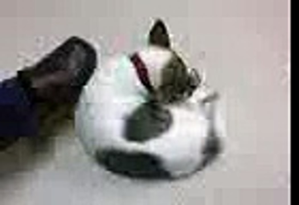 2002-Apr-28 左右夾攻