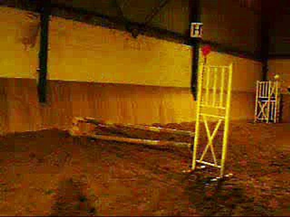 samedi 24 01 amélie