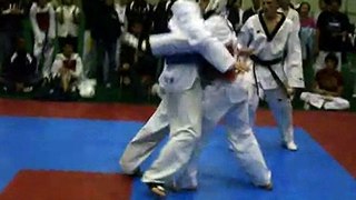 Matt Davenport Cornell Tae Kwon Do tournament 2008 Part 19
