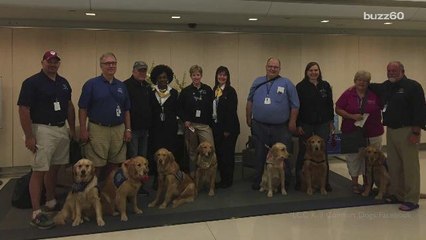 Comfort Dogs Provide Hope to Survivors of Orlando Shooting