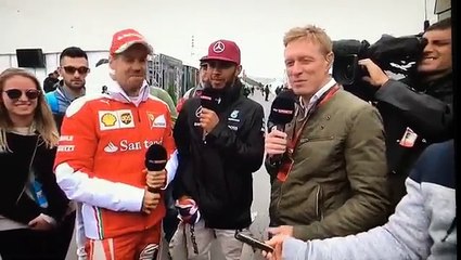 Lewis Hamilton, Sebastian Vettel  and  Seagull , it's all happened at Canadian  GP