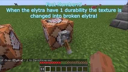 ✔ Minecraft: 10 Things You Didn't Know About Elytra! ✔