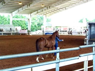 Betsy Moles and Some Like It Hot ( Red)                                  100 0837