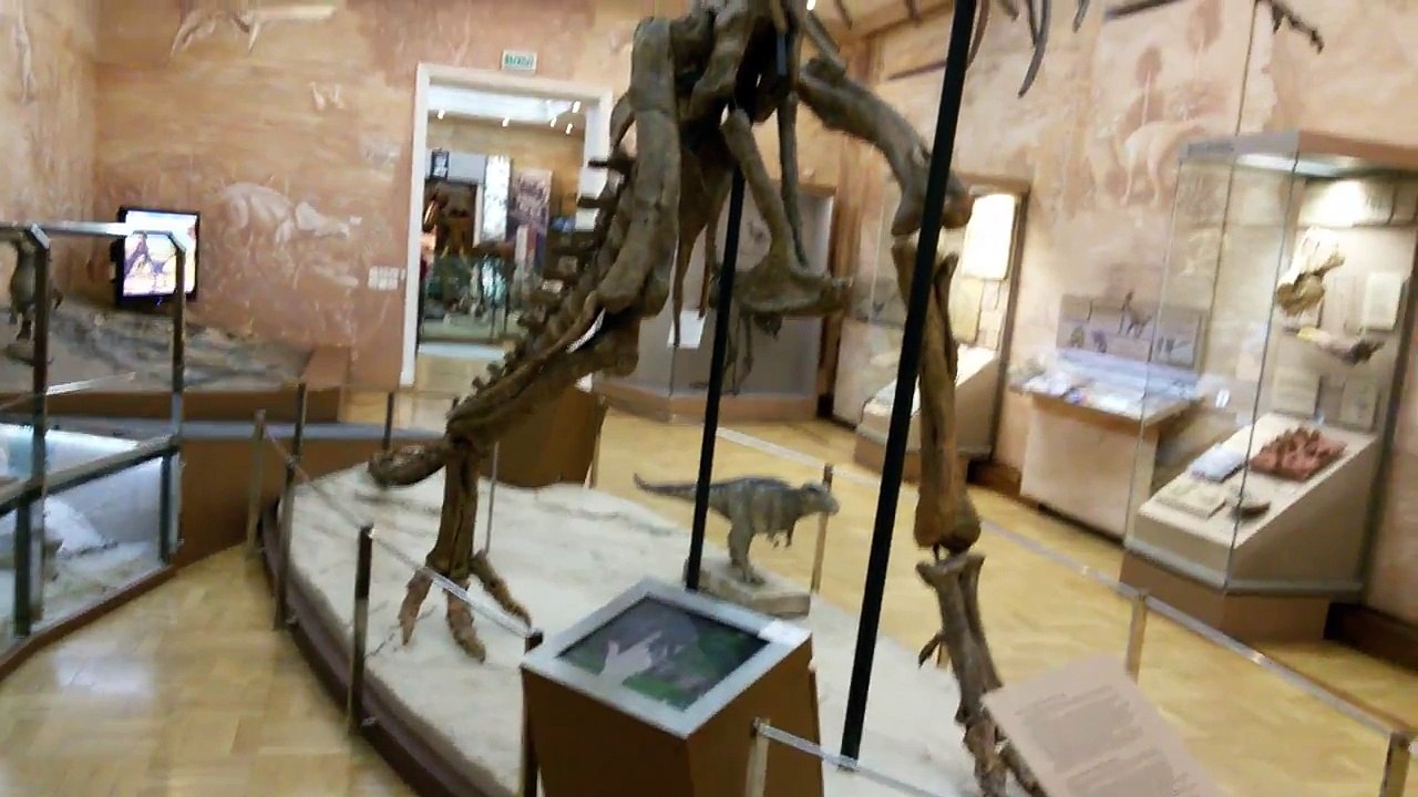 Музей динозавров dinosaur Museum