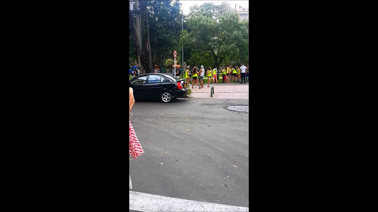 Pole Dance Panneau