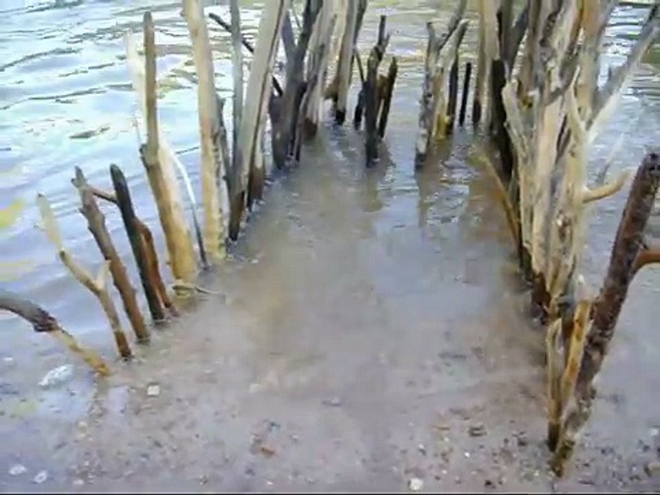 Genius Native American Fish Trap Works Like A Charm