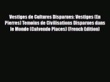 PDF Vestiges de Cultures Disparues: Vestiges (En Pierres) Temoins de Civilisations Disparues