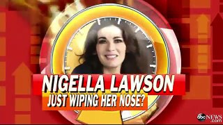 Nigella Lawson Husband Investigation: Photog Recalls '27 Minutes of Madness'