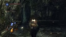 Dark Souls II Forlorn Huntsman's Copse