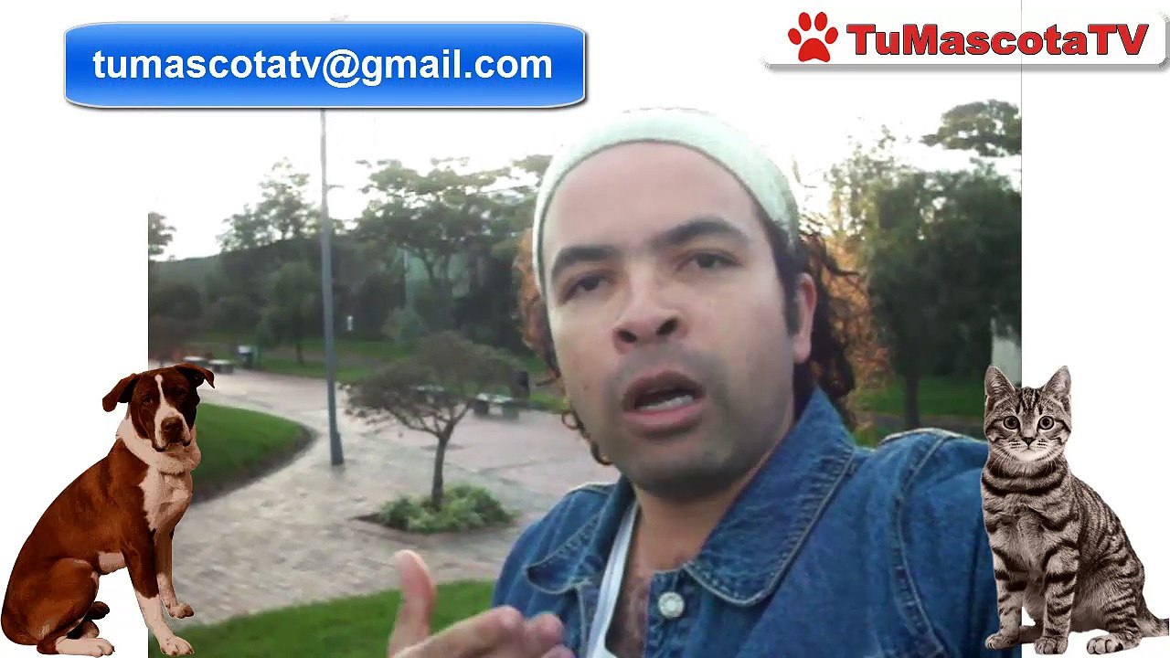 Quieren quitar la esterilización de mascotas en Bogotá | Tu Mascota TV