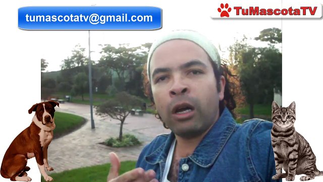 Quieren quitar la esterilización de mascotas en Bogotá | Tu Mascota TV